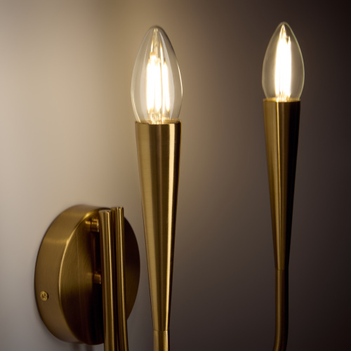 Настенный светильник (бра) Freya FR5253WL-02BS фото 8